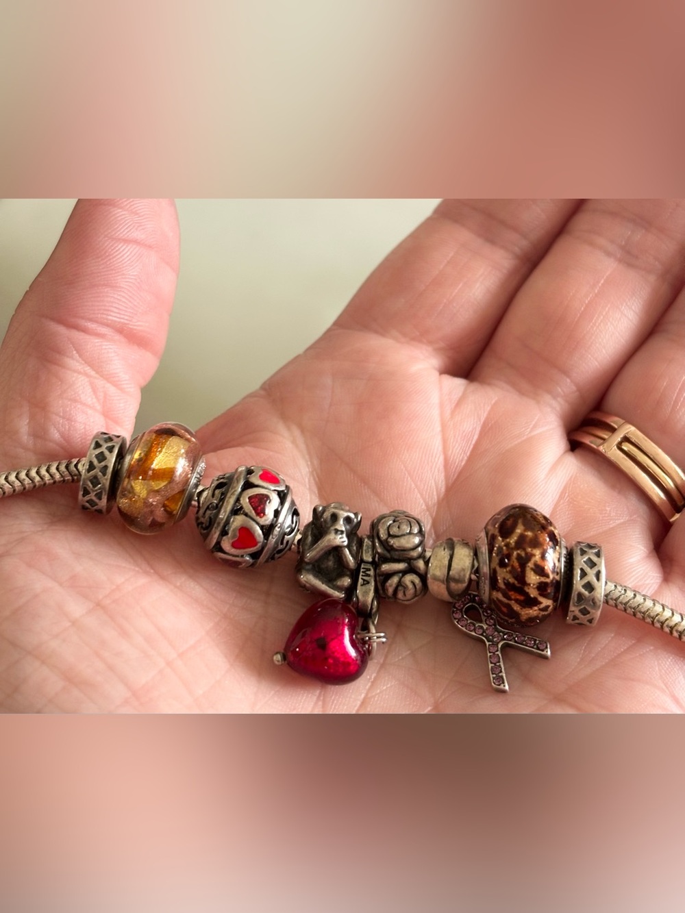 Silver Charmed Memories Bracelet with Beads